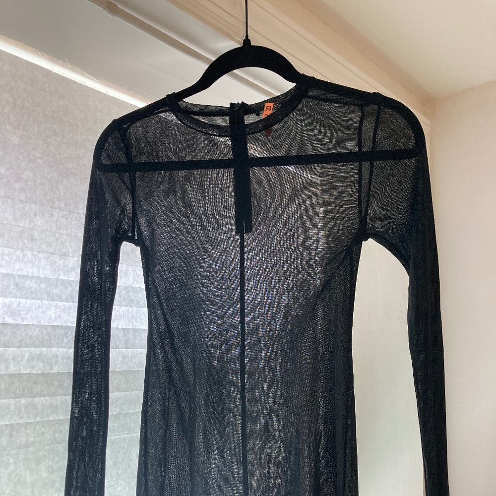 Zara mesh sheer top